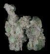 Sea Green Fluorite on Quartz Formation - China #32495-2